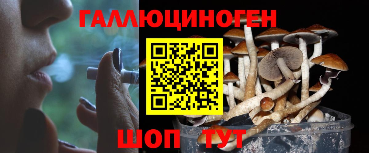 Новороссийск  Псилоцибиновые грибы MAGIC MUSHROOMS  Вход с VPN 